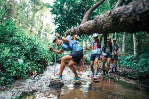 BIB: 
                            <button type="button" onclick="openModal(25371891)" class="btn btn-primary btn-sm float-right btn-popup" data-toggle="modal" data-target=".modal-high-quality">
                        <i class="fas fa-shopping-cart"></i> Add to Cart
                    </button>
                                            <button type="button" onclick="isThisMe(25371891, true)" class="btn btn-success btn-sm float-right btn-popup btn-isme hidden" data-toggle="tooltip" data-placement="bottom" title="นี่คือรูปของคุณใช่ไหม คลิกที่นี่เพื่อเอาเข้าอัลบั้ม">
                        <i class="fas fa-plus"></i> Add to album
                    </button>
                    <button type="button" onclick="isThisMe(25371891, false)" class="btn btn-warning btn-sm float-right btn-popup btn-isnotme hidden">
                        <i class="fas fa-ban"></i> Remove from album
                    </button>